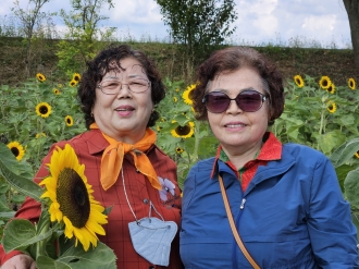 테마여행 황룡강 가을꽃축제 사진