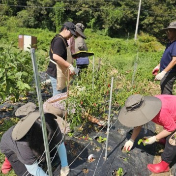 2025년 도시농부활동 이야기 이미지