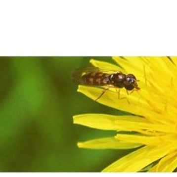 민들레카 5월 경비지원 여행 신청 이미지